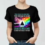 Pink Floyd The Child Is Grown The Dream Is Gone And I Have Become Comfortably Numb 8 Women T Shirt